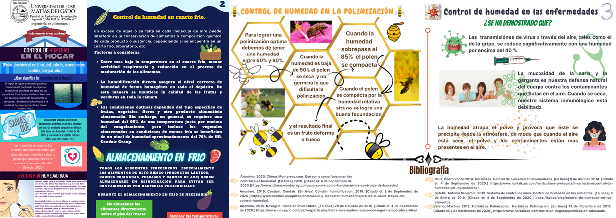 Infográficos alimentos UJMD